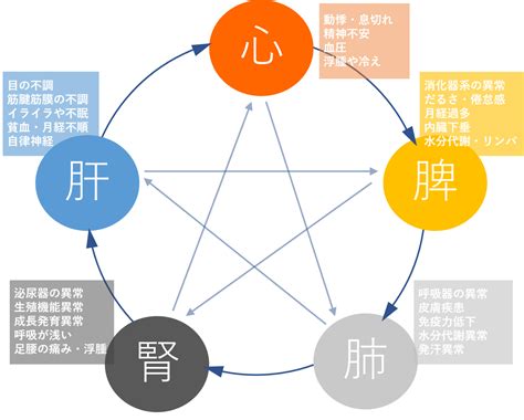 鼻 五行|東洋医学的「五感」で身体の状態を見る 